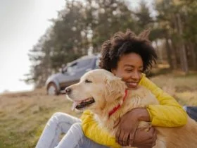 Animals 1