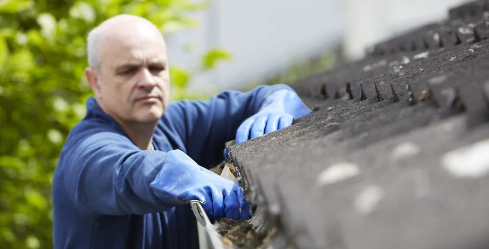 Maintain Your Roof