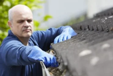Maintain Your Roof