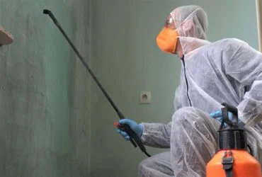 Mold Remediation Company 1