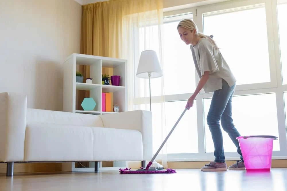 Different Types of Mops 3