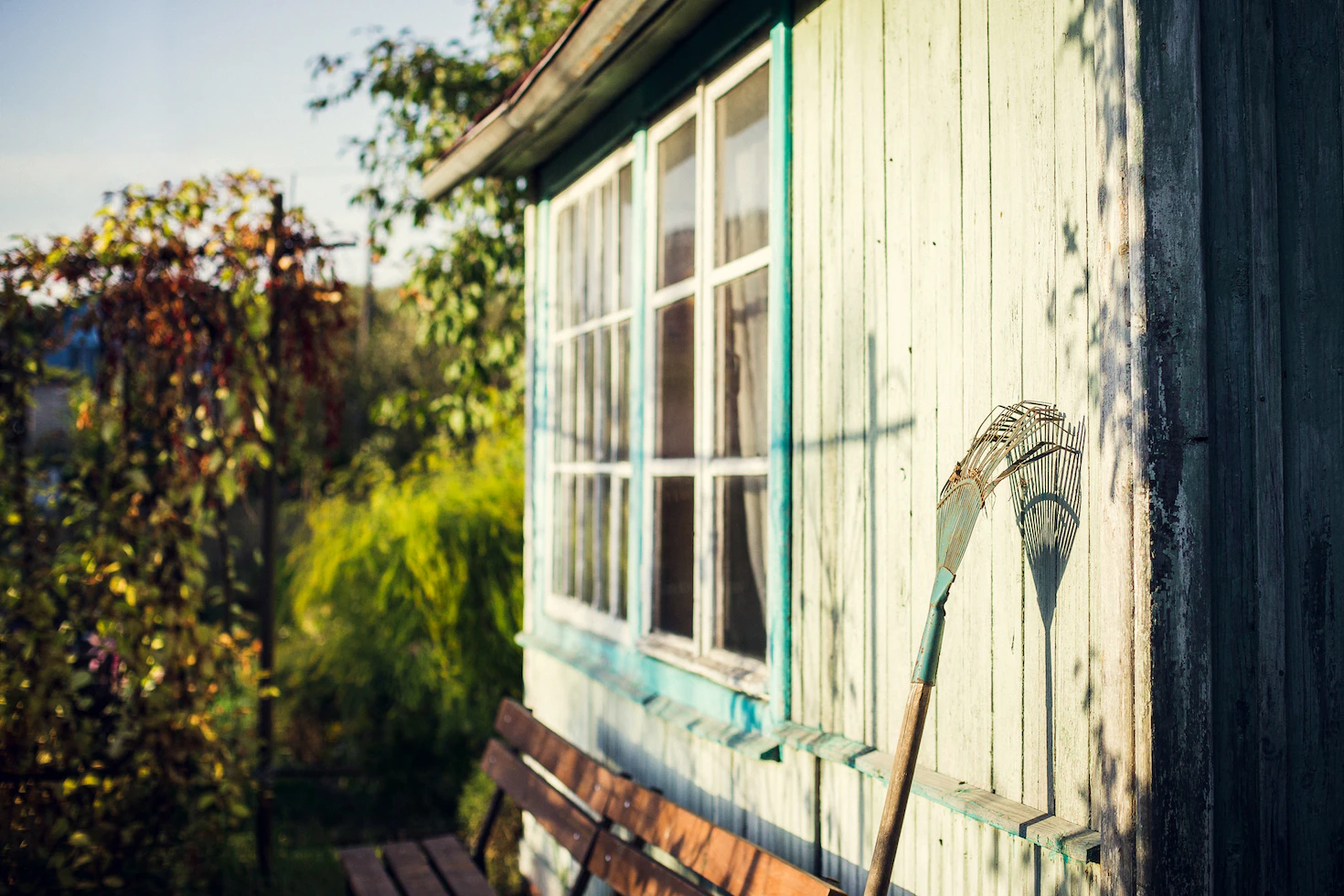 Buying a Garden Shed 1