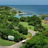 Explore Dolphin Cove Ocho Ríos in Jamaica