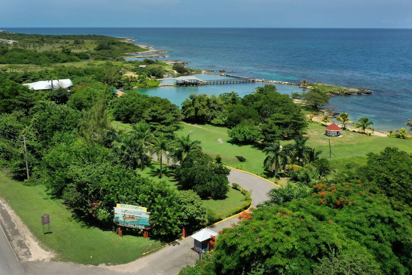 Explore Dolphin Cove Ocho Ríos in Jamaica